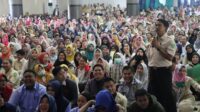 dok.borneo