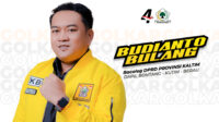 budi3